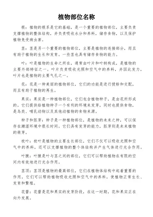 植物部位名称
