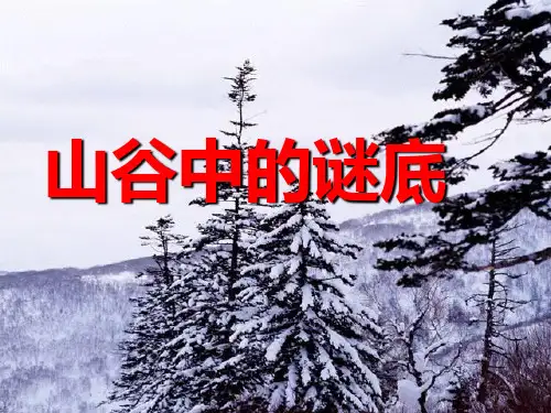 《山谷中的谜底》PPT课件