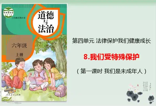 部编版道德与法治《我们受特殊保护》优秀课件1