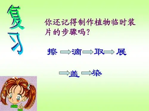 七年级第二单元第一章第三节动物细胞