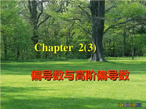 偏导数与高偏导数