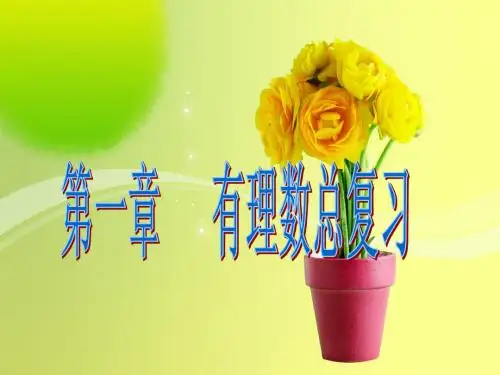 有理数小结与复习(二)