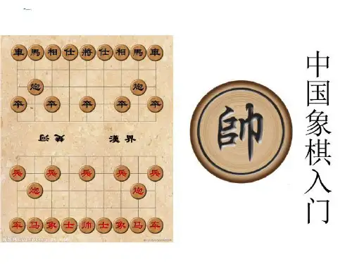 中国象棋入门_(精选)
