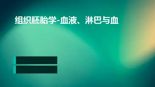组织胚胎学-血液、淋巴与血