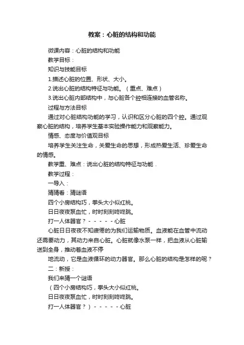 教案：心脏的结构和功能