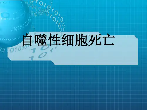 自噬性细胞死亡