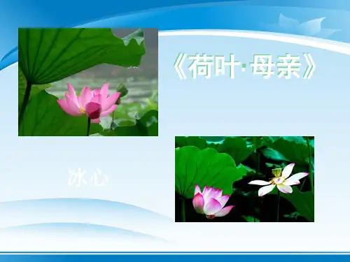 《荷叶·母亲》PPT