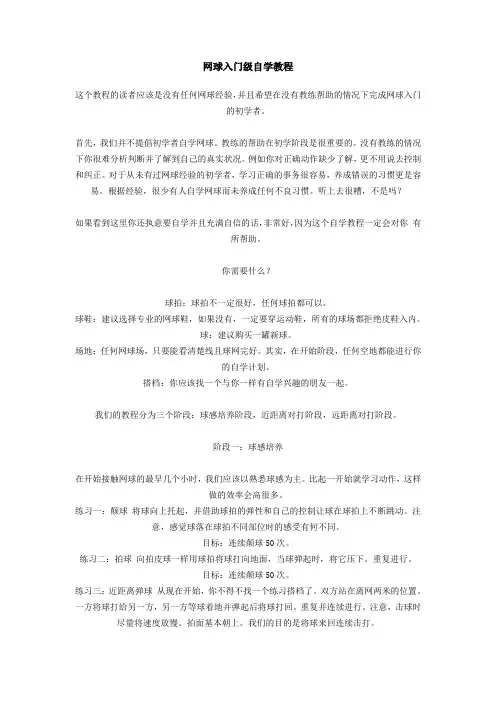 网球入门级自学教程