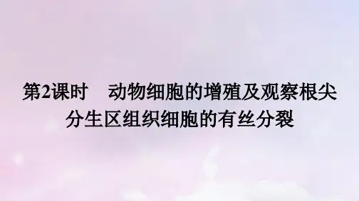 新教材高中生物第6章细胞的生命历程第1节细胞的增殖第2课时动物细胞的增殖及观察根尖分生区组织细胞的有