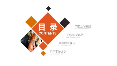 年度工作概述模板