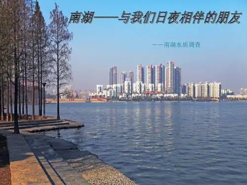 武汉南湖水质