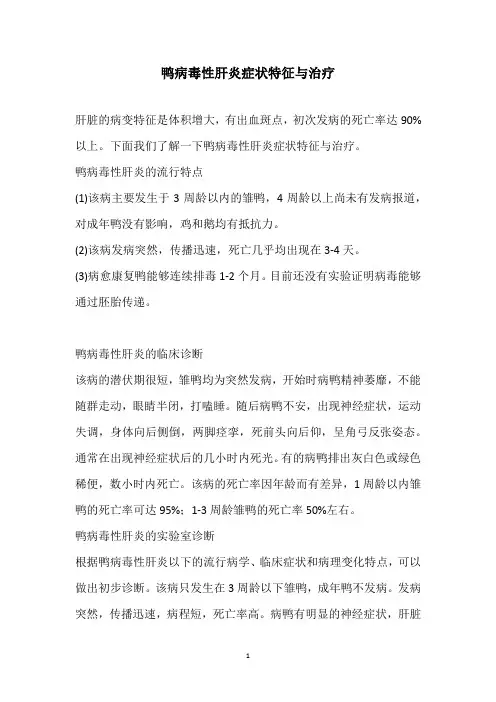 鸭病毒性肝炎症状特征与治疗