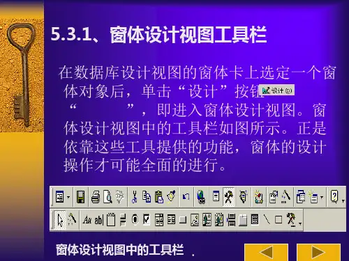 Access窗体设计视图