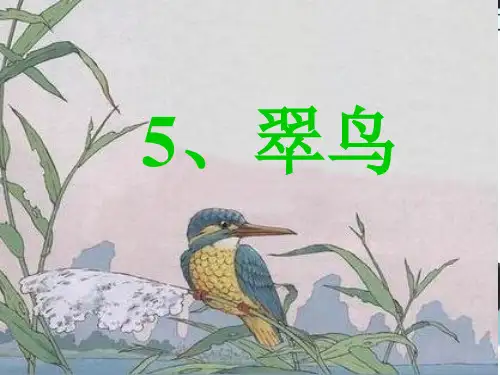 三年级语文下册5翠鸟