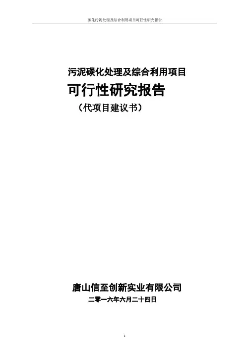 污泥碳化处理及综合利用项目可行性研究报告