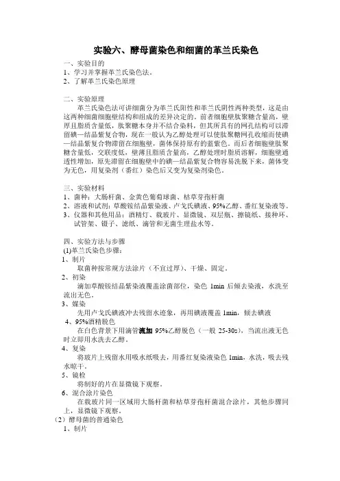 实验六、酵母菌染色和细菌的革兰氏染色