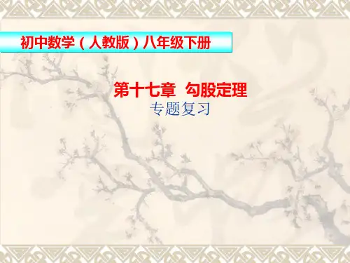 人教版数学八下第十七章《勾股定理》复习课件