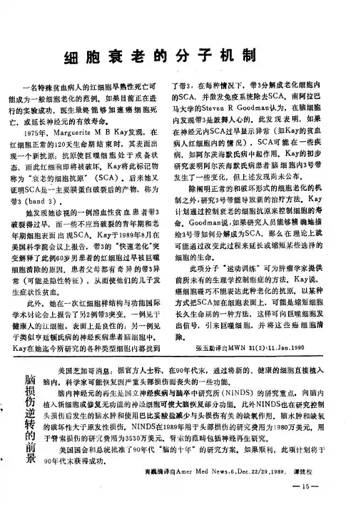 细胞衰老的分子机制