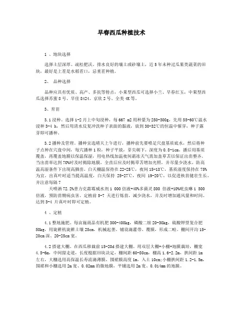 早春西瓜种植技术