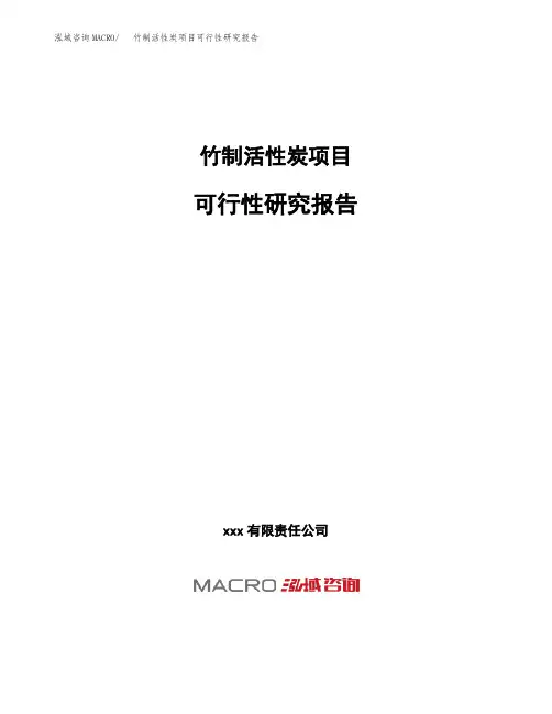 (投资参考建议模板)竹制活性炭项目可行性研究报告