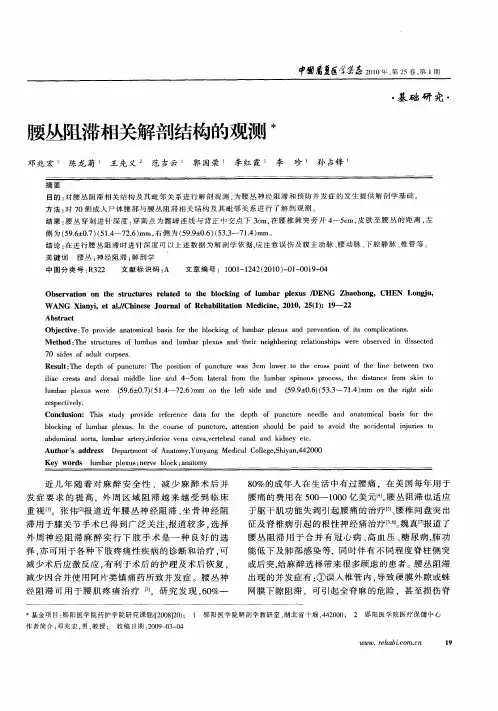腰丛阻滞相关解剖结构的观测
