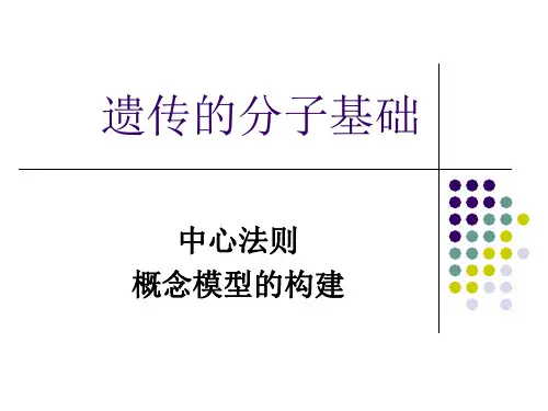 中心法则概念模型的构建微课课件