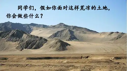 统编人教版七年级语文上册优质课件 13 植树的牧羊人