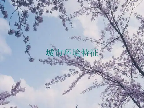 城市环境特征