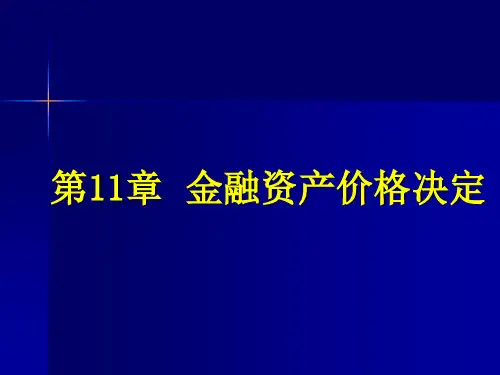 金融学C11