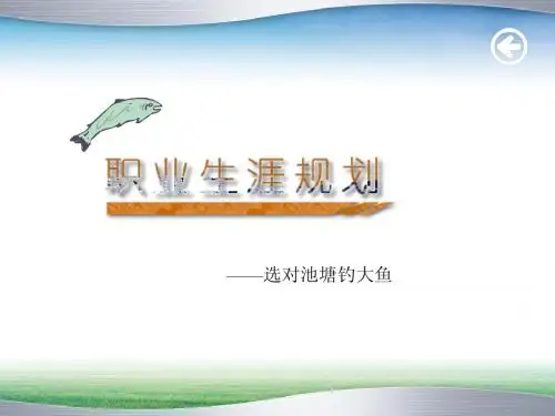 第五讲--职业规划