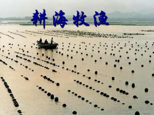 第三单元第三课：傍水而居