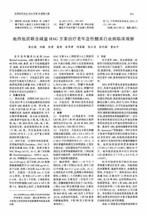 地西他滨联合减量HAG方案治疗老年急性髓系白血病临床观察