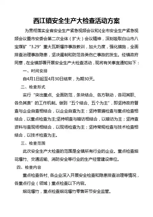 安全生产大检查活动方案 2