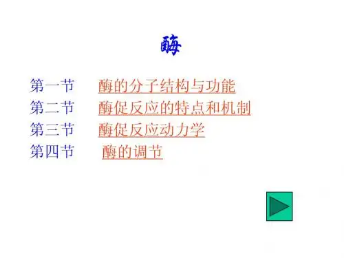 酶