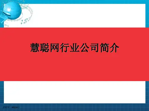 慧聪公司及产品简介