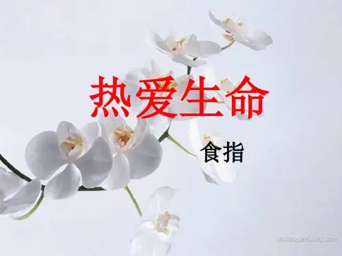 语文：2.5《热爱生命》课件(1)(粤教版必修2)