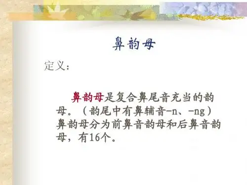 鼻韵母