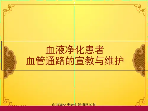 血液净化患者血管通路的护理ppt课件