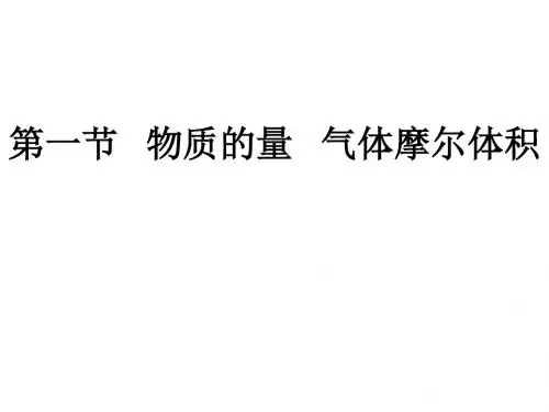高一化学物质的量(1)