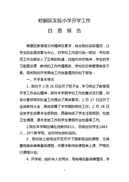 春季开学工作自查报告