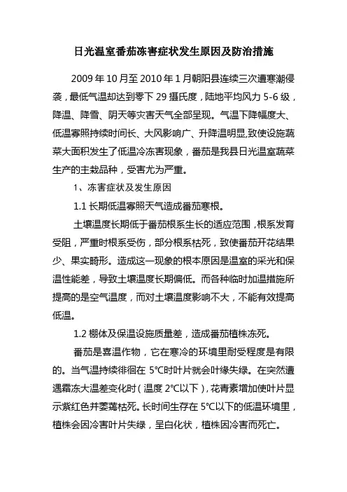 日光温室番茄冻害症状发生原因及防治措施