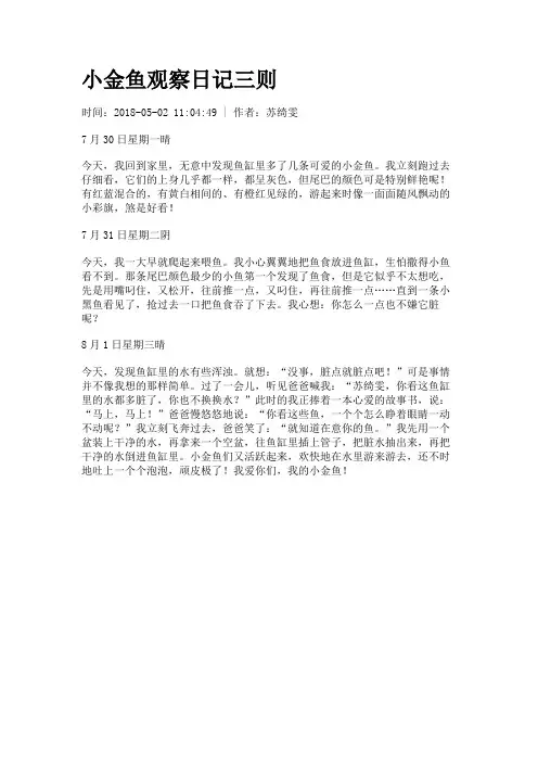 小金鱼观察日记三则
