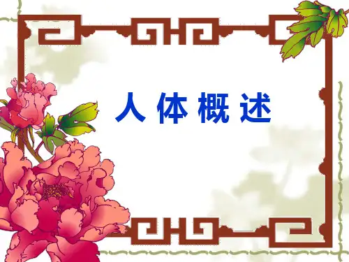 人体概述定1