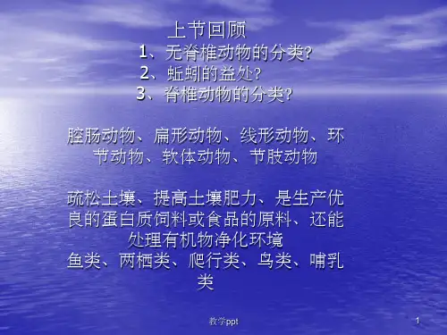 苏教版八年级生物上册143《神奇的微生物》