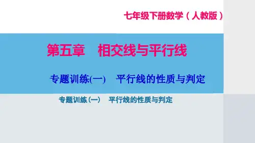 人教版七年级数学下册期末专题复习课件全套