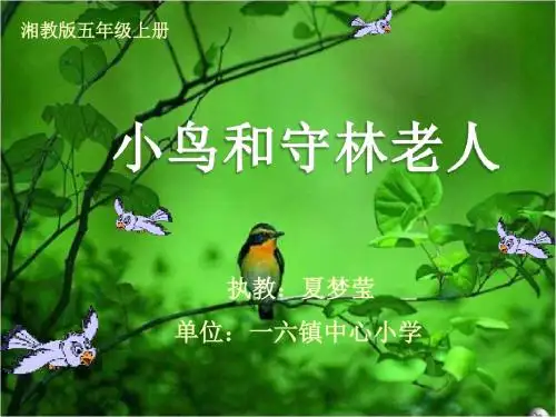 《小鸟和守林老人》教学课件