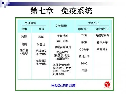 第7章 免疫系统
