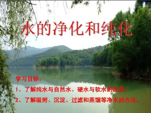 水的净化