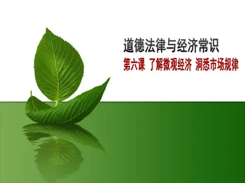 第六课 了解市场体系  洞悉经济规律