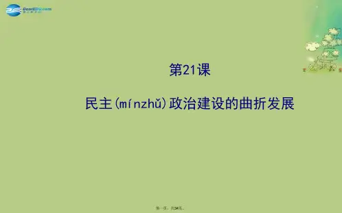 高中历史 6.21民主政治建设的曲折发展课件 新人教版必修1